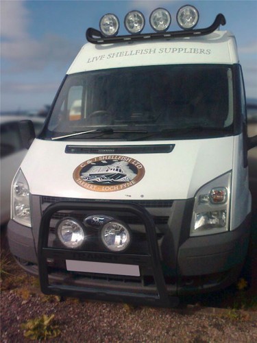 Bull bar fit ford - a,