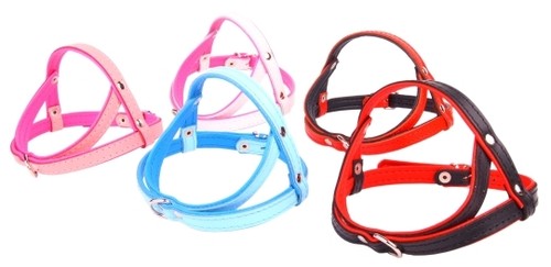 Real soft leather dog - real, harness