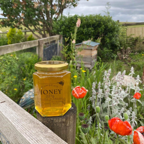 Beckside honey cumbrian - honey,,