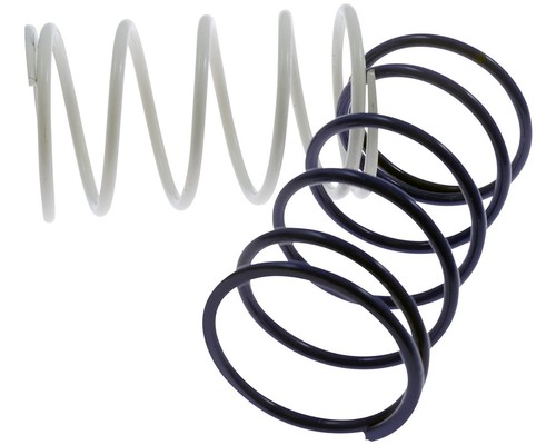 Counter pressure spring - , polini