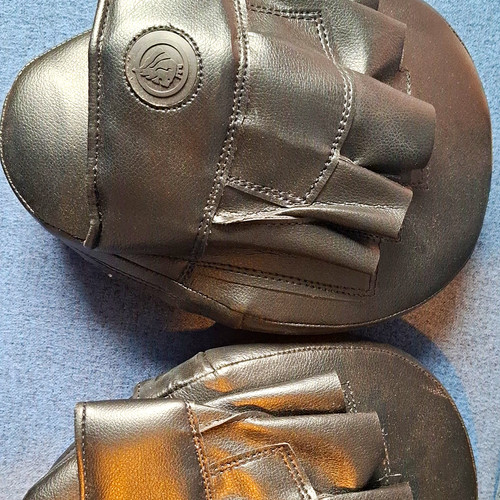 Boxing focus pads - boxing, pads,punching