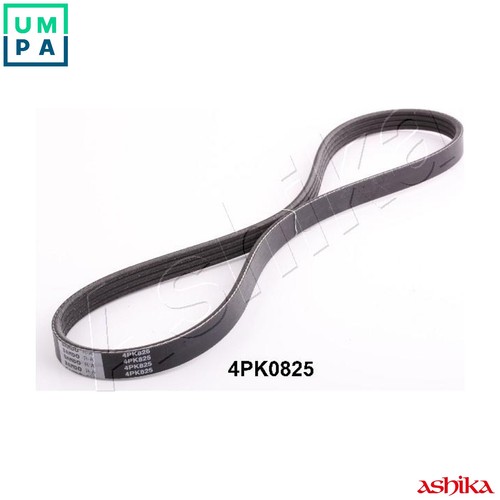 Vribbed belt 112 4pk825 - belt, 112-4pk825