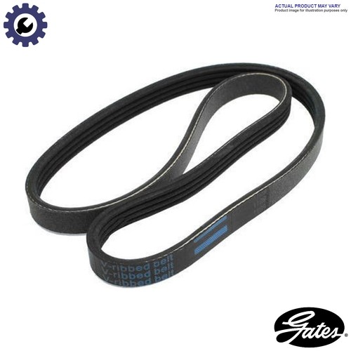 Vribbed belt 5pk885 for - belt,