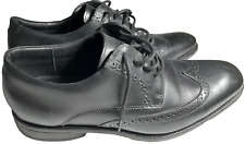 Black Anatomic & Co Brogue