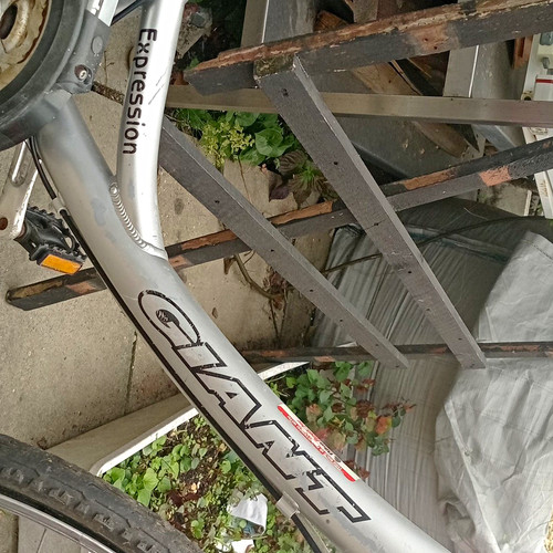 Giant expression hybrid bike - expression,