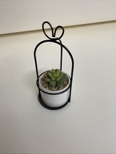 Artificial Succulent Cactus