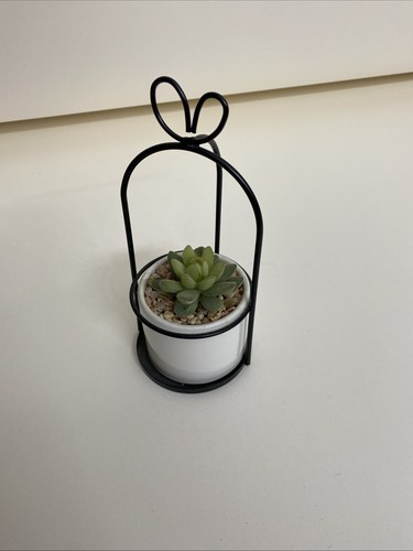 Artificial succulent cactus - succulent,