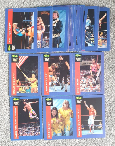 1991 titan sports wwf trading - titan,