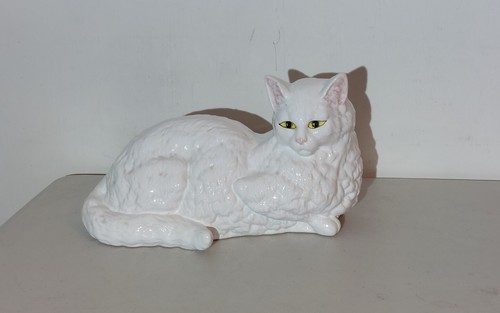 White persian lying - down, cat