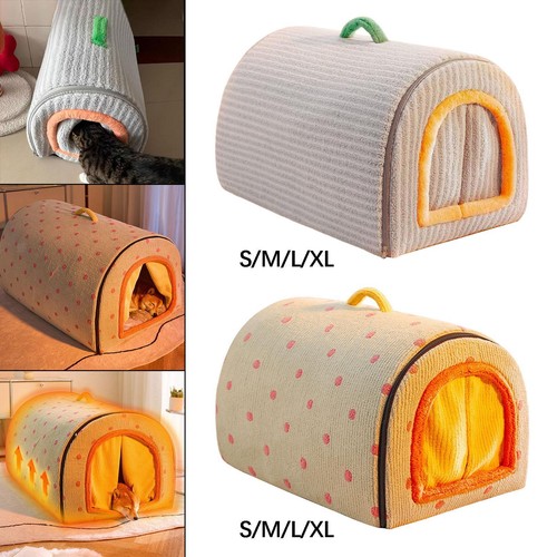 Dog house cat - cat, bed