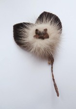 Vintage 1950's Blonde Mink Fur & Dark Brown Velvet Flower Corsage Brooch