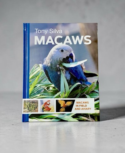 Macaws field and aviary - macaws,