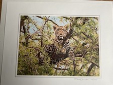 “LOOKOUT”Leopard by Simon