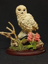 Country Artists 'Snowy Owl