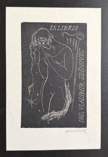 Exlibris erotik nakte - exlibris, frau
