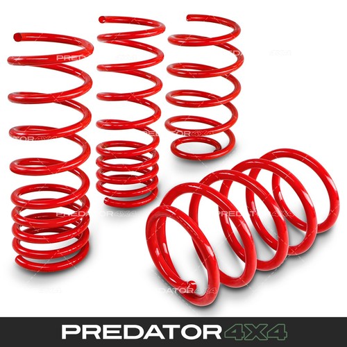 Suspension lowering springs - suspension,