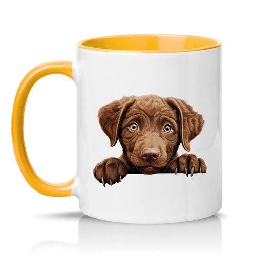 Chocolate labrador puppy - chocolate,