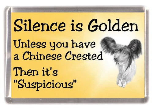 Chinese crested dog - chinese,