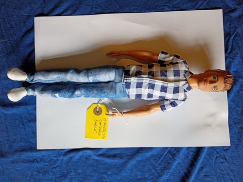 Mattel barbie takes two - barbie,