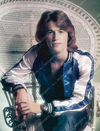 Andy gibb large wicker - large,