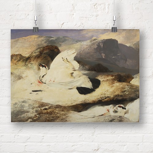 Sir edwin landseer ptarmigan - sir,