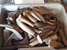 ANTLER CHEWS  3"size X 3 PACK FOR THE TOY SIZE DOG OR SMALL PUP