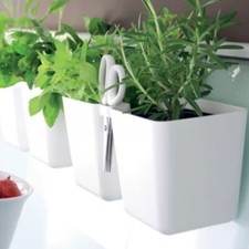 Windowsill Twin Herb Pot with