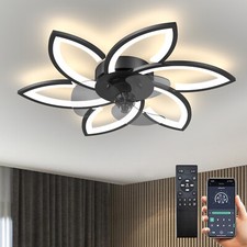 Ceiling Fans with Lights &