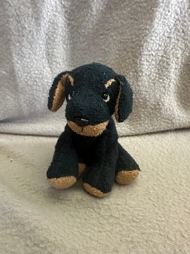 Russ luvs pets tiny - , biscuit