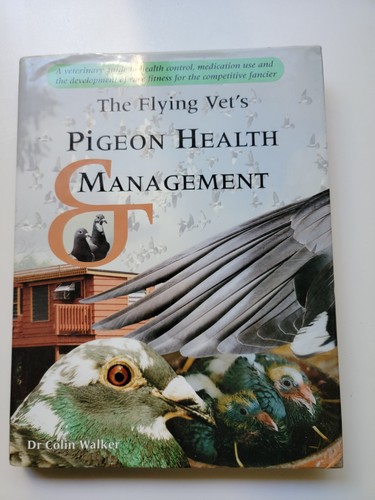 The flying vet - flying, pigeon