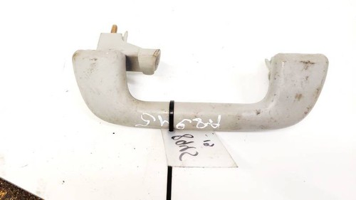 Interior roof grab bar rear - interior,