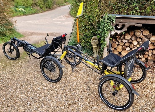 2021 hase bikes kettwiesel - hase,