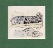 Lucy Dawson ~ French Bulldog ~