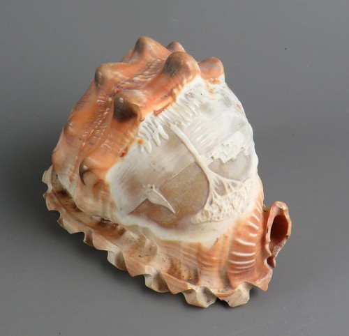 Small vintage carved - small,