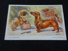 Artist Signed Mabel Gear Dog Greetings Postcard - 109812