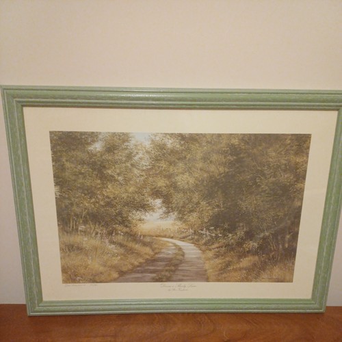 Signed framed print rex - framed,
