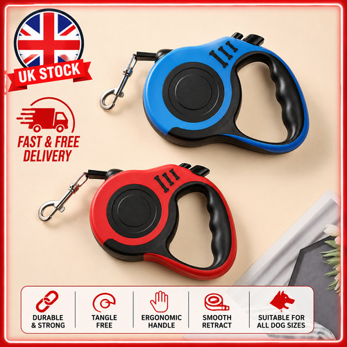 Retractable dog lead - dog,