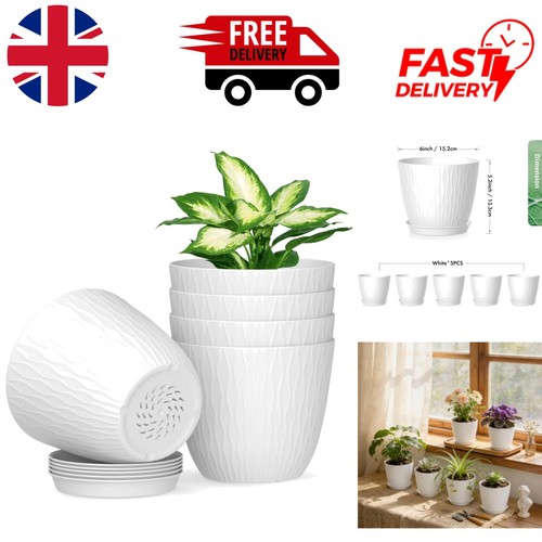 Stylish pack 15cm white - stylish,