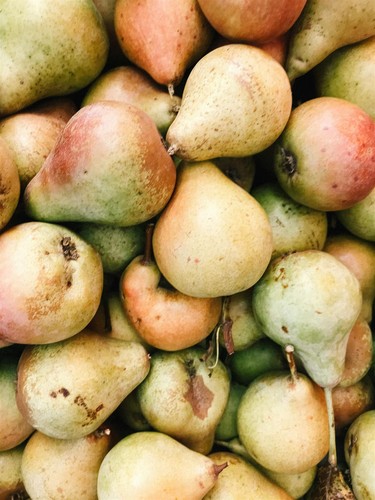 Beth pear large fruit - pear,