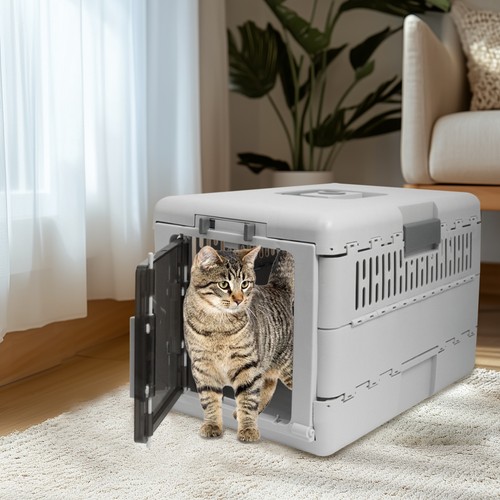 Collapsible plastic pet - plastic,