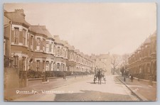 Quarry Road Wandsworth Horse