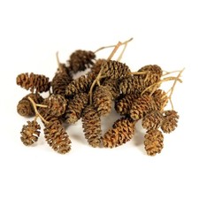 Alder Cones 20 Grams / Approx