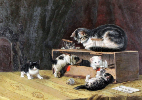 Henriette ronner knip cat - ronner,