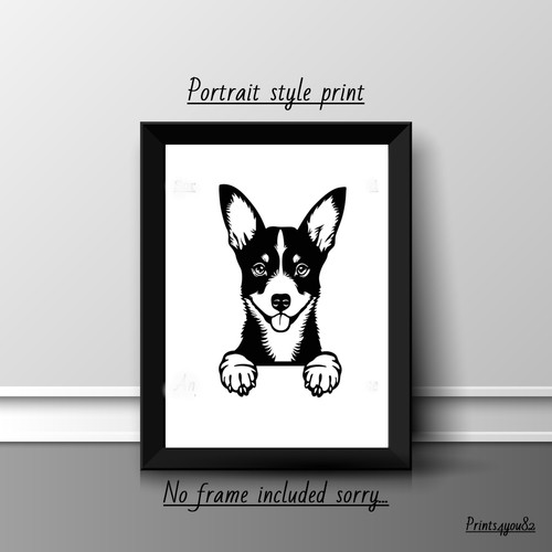 Basenji dog pet - basenji,