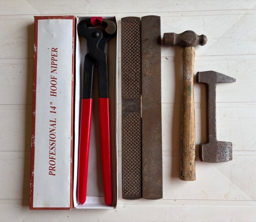 Horse shoeing farriery - horse, tools