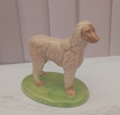 Wade championship dogs - wade, afghan