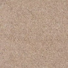 £4 PER M2 ABINGDON Durham Twist Sapwood 4m x 2.5m CARPET CHEAP