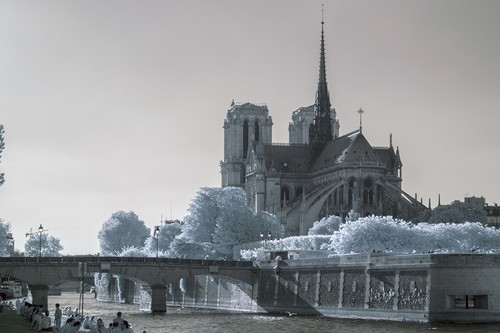 Infrared ir720nm converted - infrared,