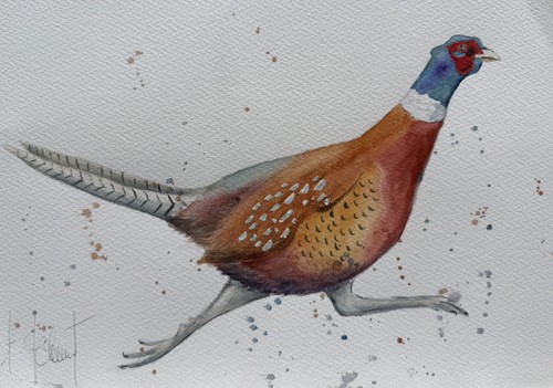 Pheasant original - original(not, print)