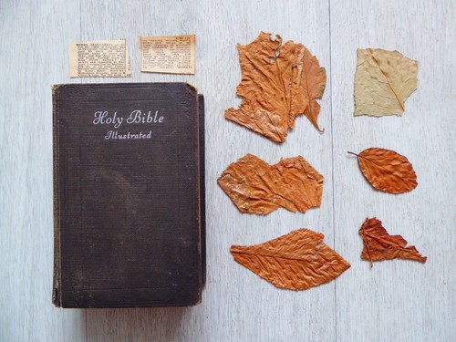 Vintage collins holy bible - collins,